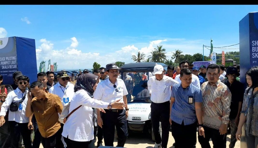 Hilirisasi Rumput Laut Di Lotim Resmi Dimulai INSIDELOMBOK