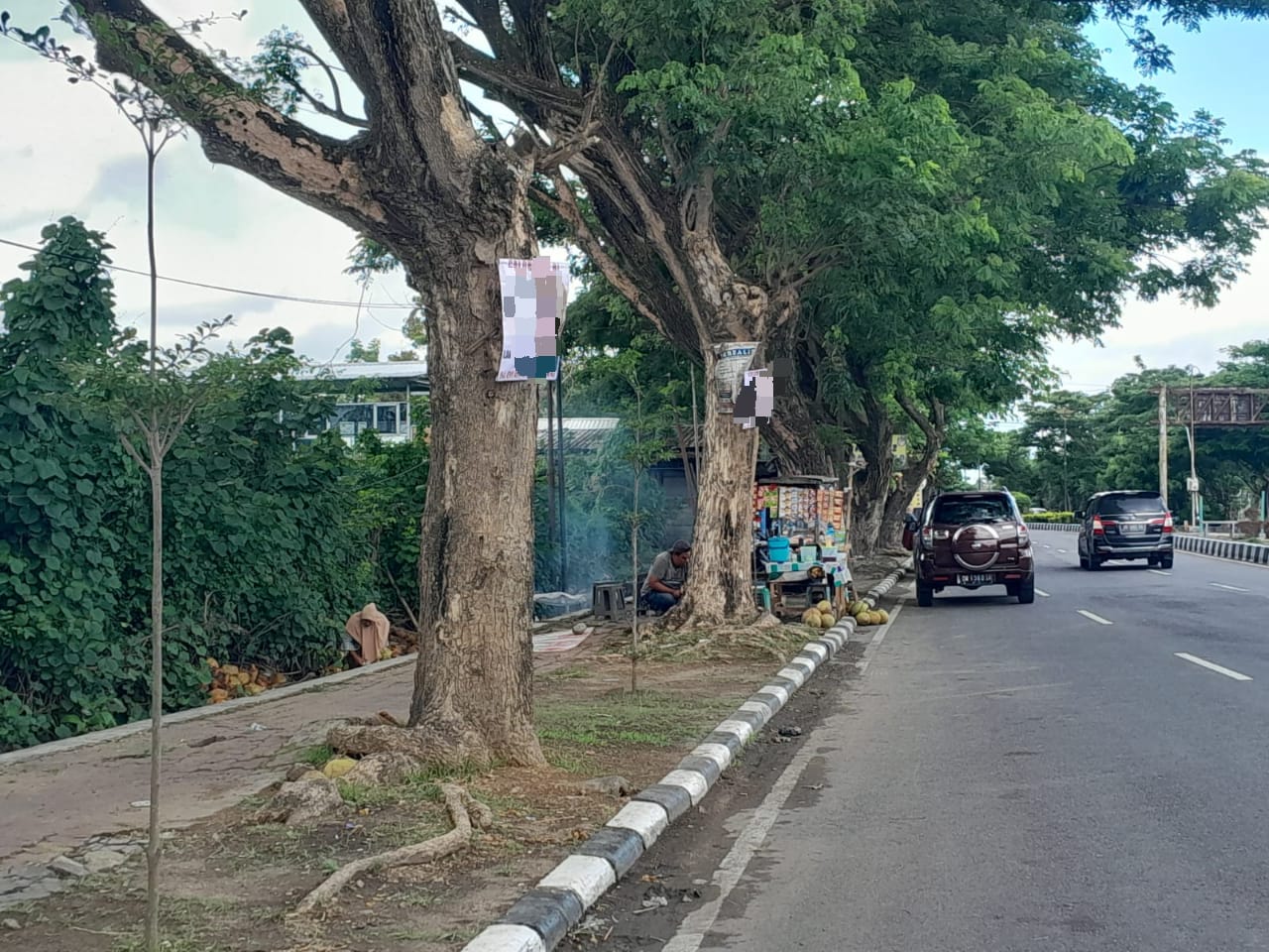 APK Yang Dipasang Di Pohon Masih Bertebaran Di Lobar - INSIDELOMBOK